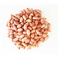 Raw Ground Nut Peanuts Verkadalai (வேர்கடலை)